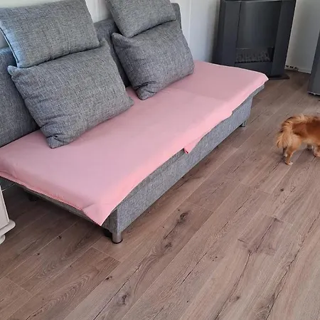 Family Friendly With Pool In 木屋 Opmeer