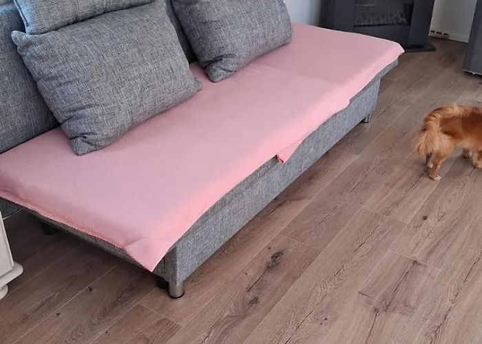 Family Friendly With Pool In Alpehytte Opmeer